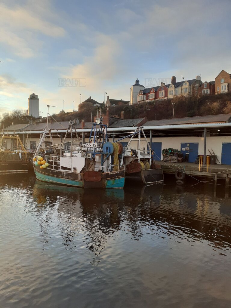 Wooden Trawler/potter