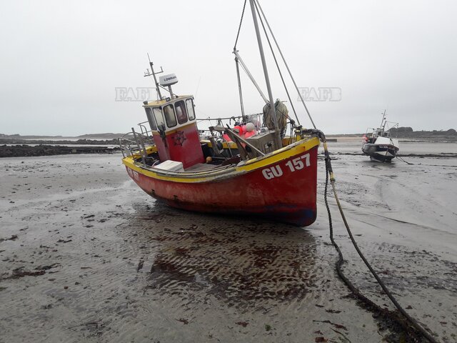Large picture for advert 111738