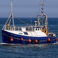 Extra picture for advert 116188