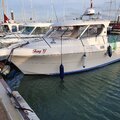 Extra picture for advert 117738