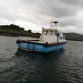 Extra picture for advert 112138